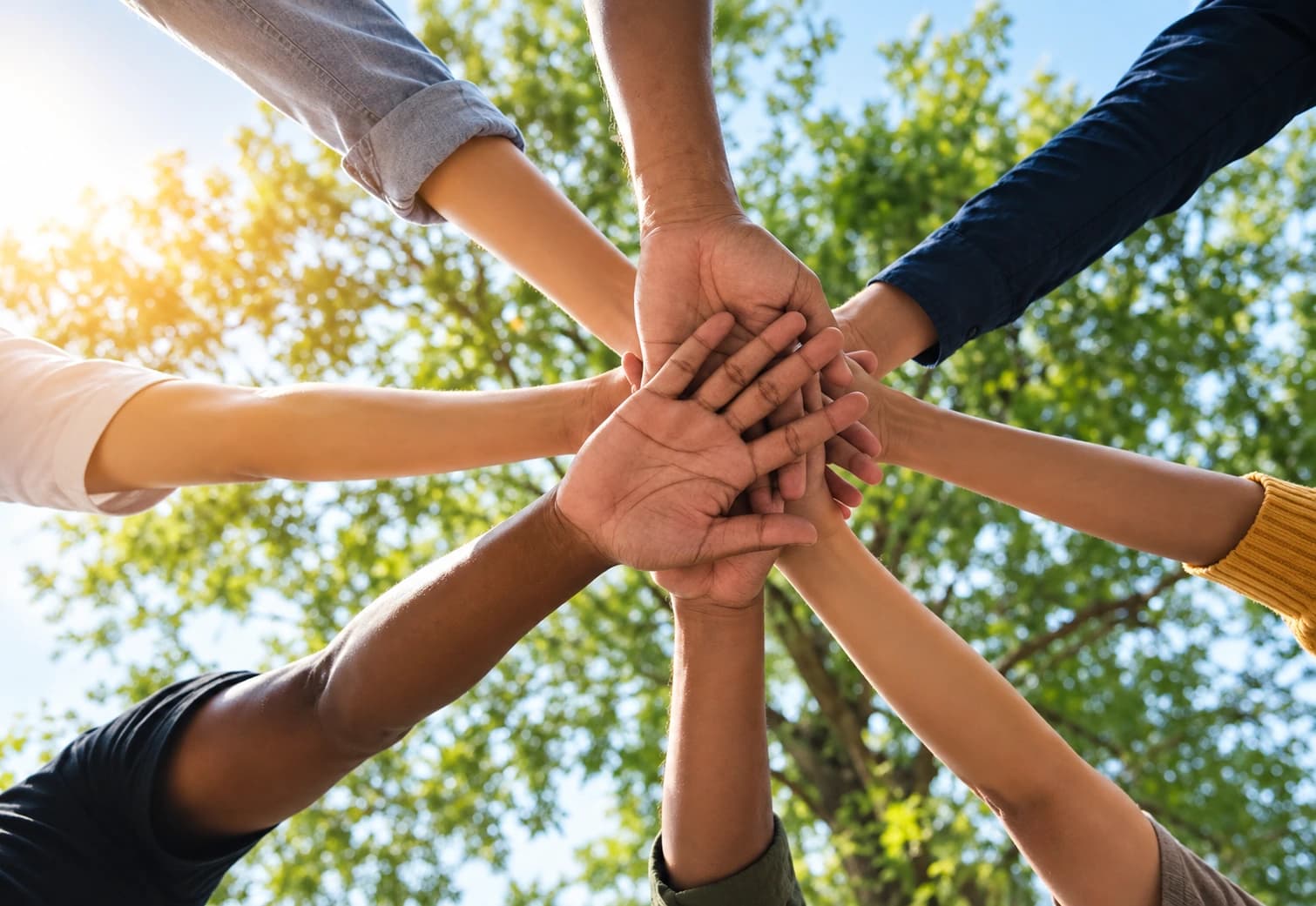 Hands joined together in unity and belonging